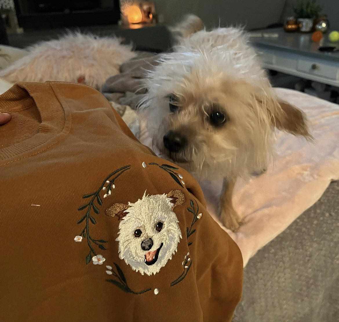 Embroidery digitizing sample